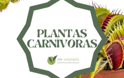 Plantas Carnívoras